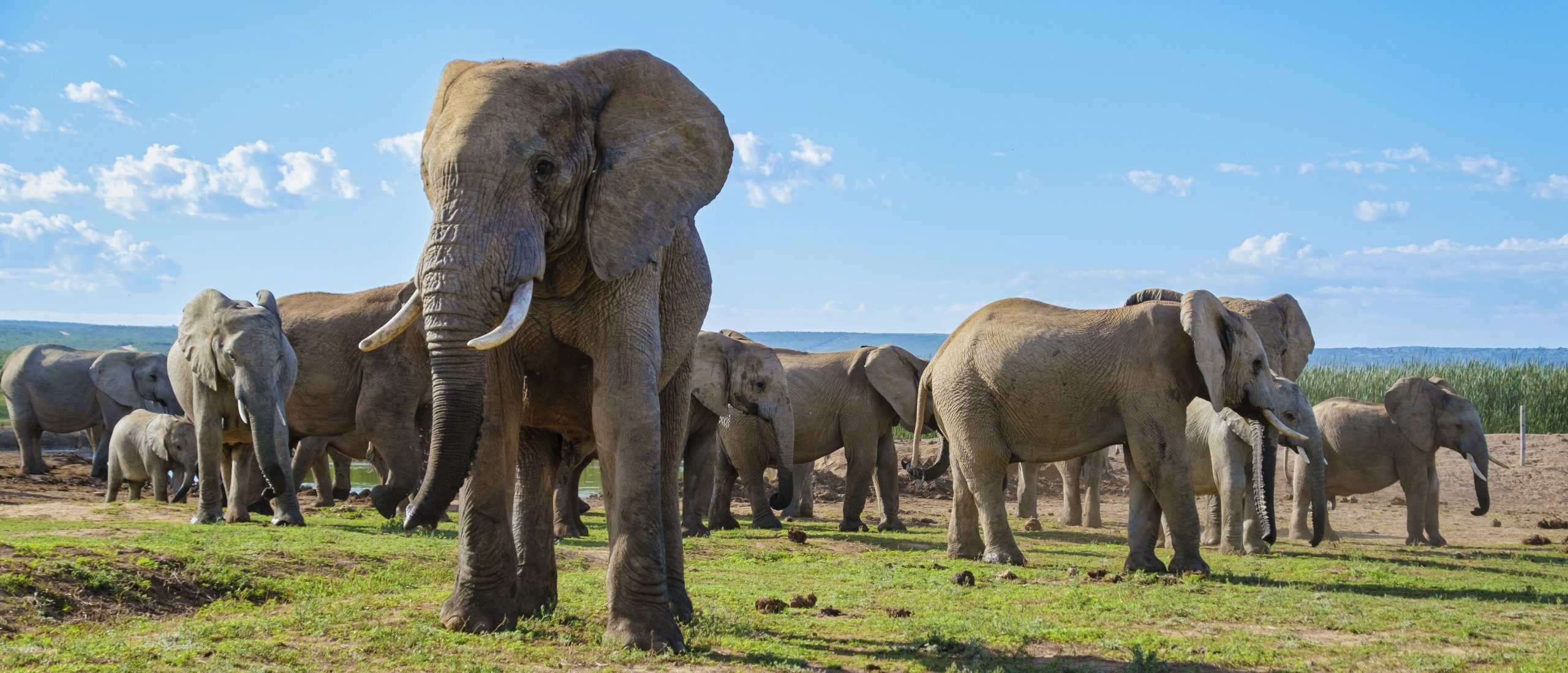 4 Days /3 Nights Amboseli Safari Package