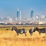 Nairobi National Park Safari
