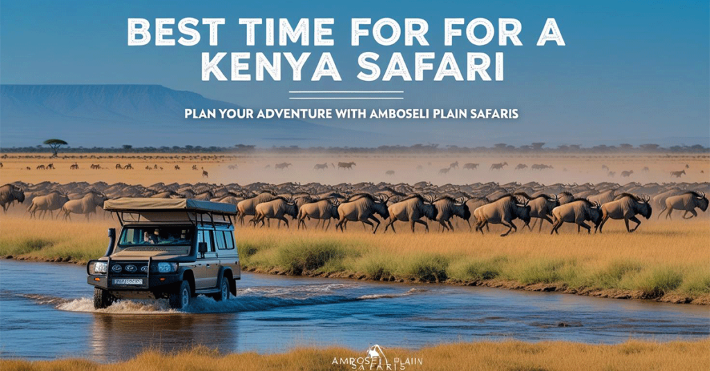 Best Time to Go on a Safari in Kenya