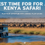 Safari in Kenya