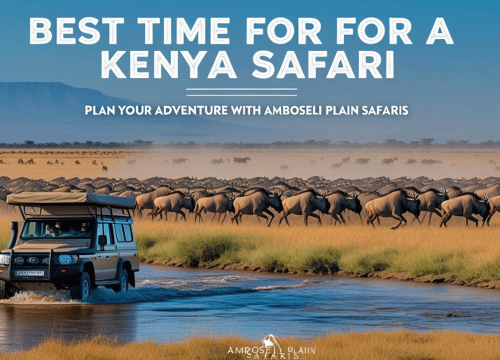 Best Time to Go on a Safari in Kenya