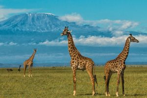 Chyulu Hills adventures Kenya