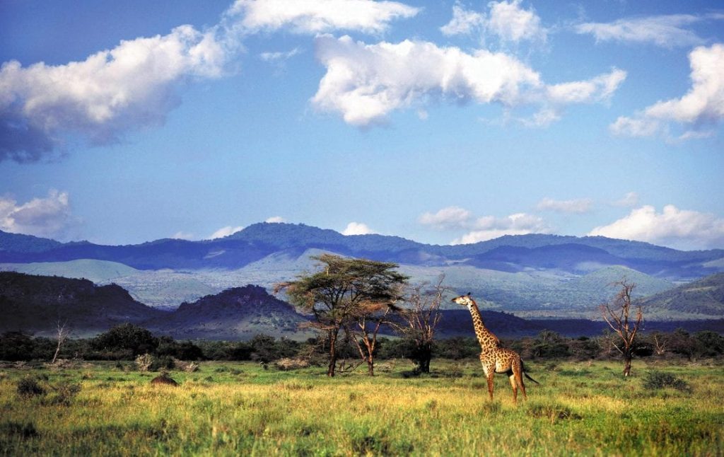 Hidden safari parks in Kenya: Lesser-Known Parks to Explore