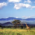 safari parks in Kenya