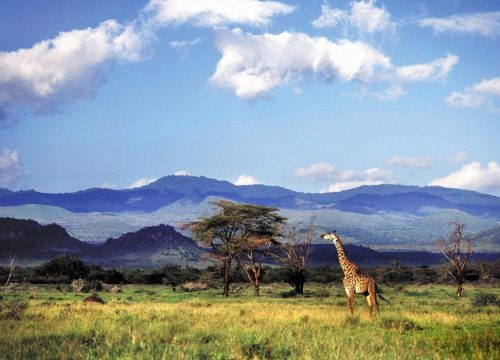 Hidden safari parks in Kenya: Lesser-Known Parks to Explore