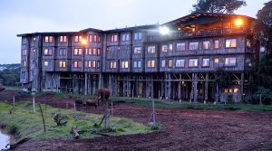 Aberdare National Park tours treetop lodge