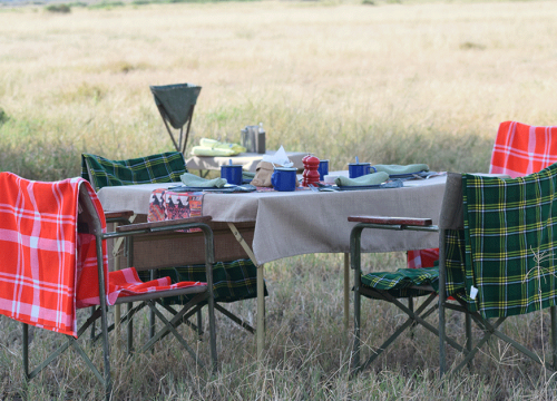 8 Top Safari Tour Mistakes to Avoid When Booking Your Next Tour