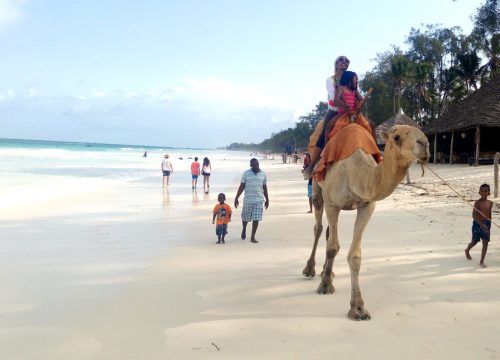 Where to Relax and Unwind in Best Beaches in Kenya